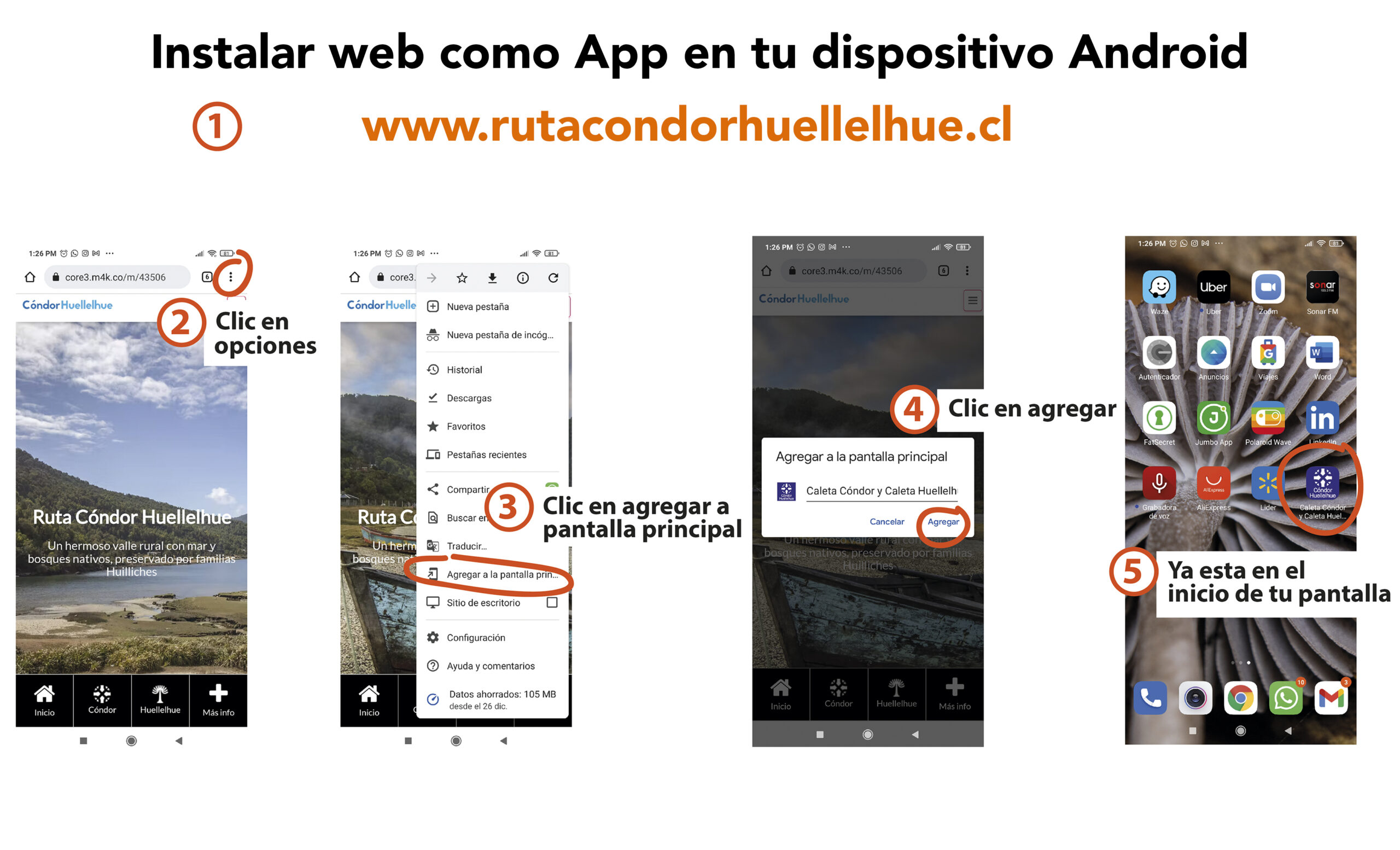 APP ANDROID