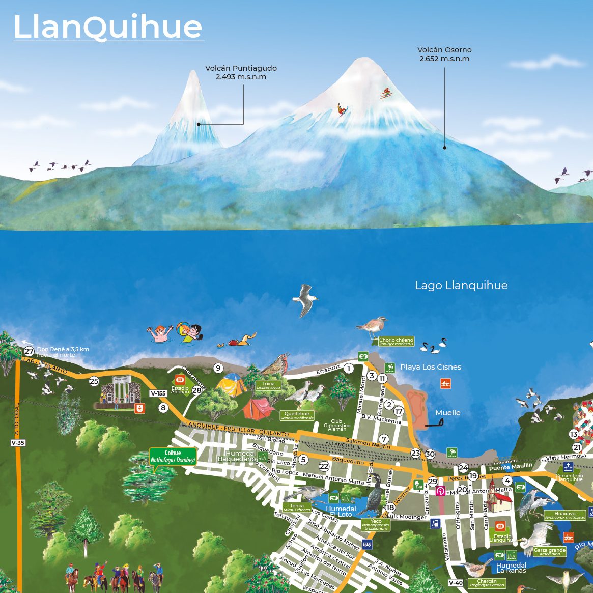 llanquihue web2